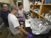 Reddy, Sylva, and Seewald retrieving sample of Deepwater Horizon oil from Seewald sampler