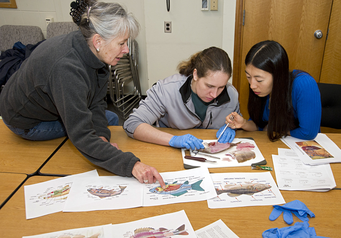 ORE fellowships