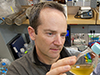 Tracy Mincer in the lab
