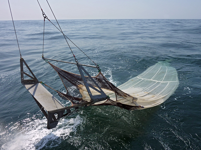 Large trawl net deployed from RV Tansei Maru