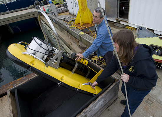 stanton and sellers with acoustic fish