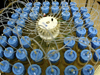 bottles and inlet lines of a programmable undersea water sampler