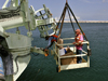 R/V Knorr