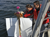 deploying a surface drifter 20 miles from Race Point