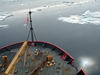 Healy through sea ice