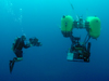 hrov nereus being photographed