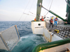 Net tow off Fukushima