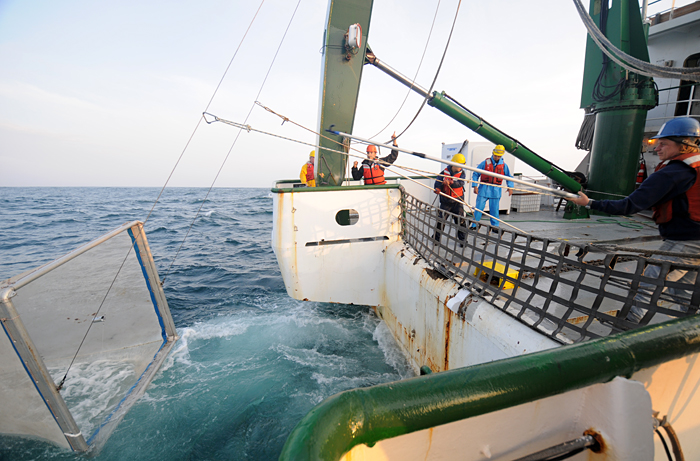 Net tow off Fukushima