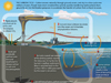 Carbon cycle
