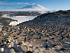 Penguins as sentinels of a changing ecosystem