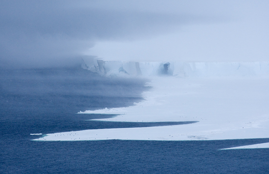 antarctic wind