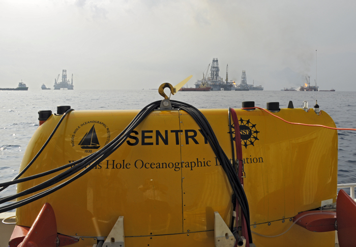 sentry in the gulf