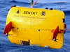 Sentry in California