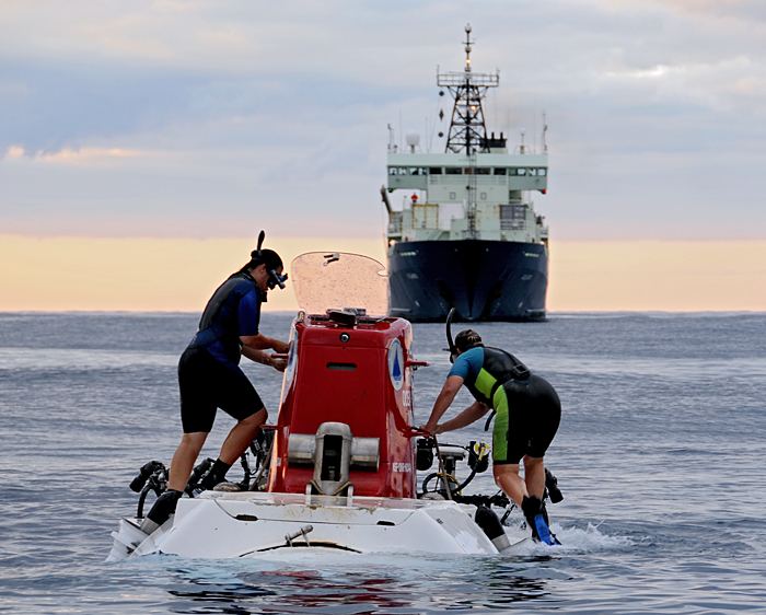 Recovery of Alvin