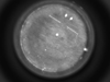 HAB data