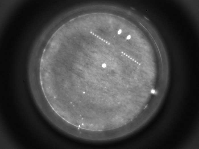 HAB data