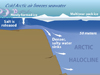 The Arctic Halocline