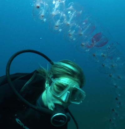 Kelly C. Rakow