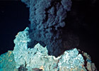 Key Discoveries & Accomplishments