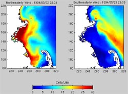 two models show how red tide might move