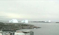 Two icebergs pirouette off Palmer Station