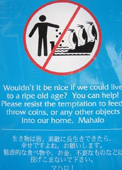 Don't Feed the Penguins