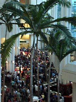 Palm trees inside the convention center.