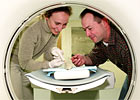 Research Positions