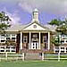 Schools