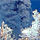 Hydrothermal Vents