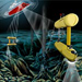 Dive and Discover Expedition 12