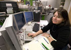 Information Systems Positions