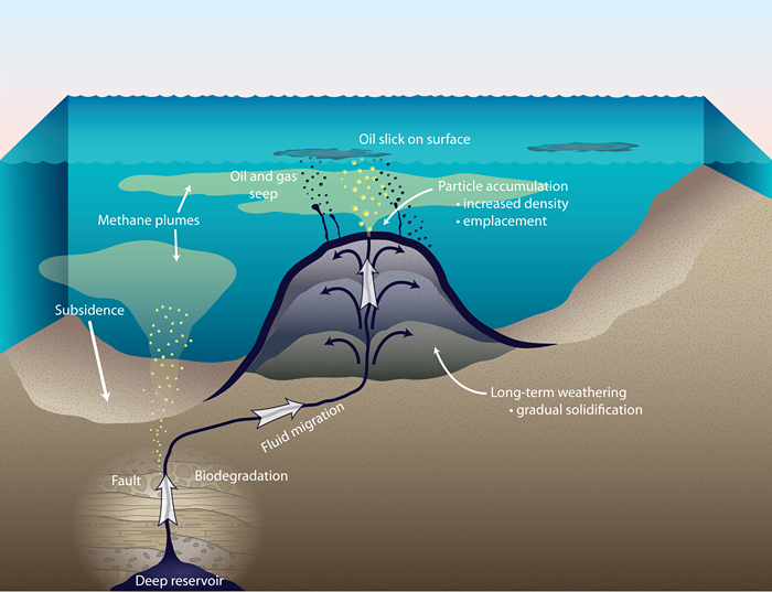 oil and gas from subterranean reservoirs