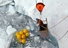 Image Galleries