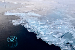 Arctic Research Initiative
