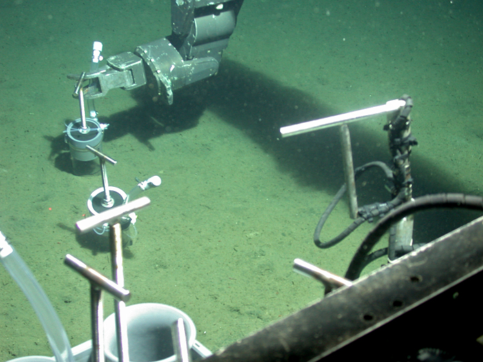 Jason arm taking sediment sample with push core