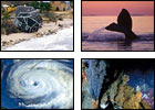 Ocean Institutes