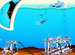 H2O Observatory