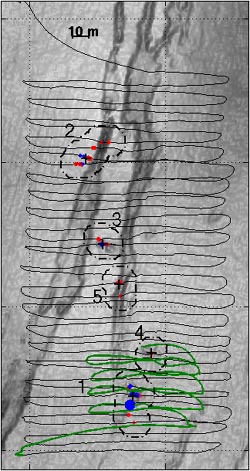 ABE's original trackline, detected clusters, and nested survey (in green)