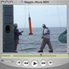 magnetometer movie