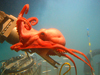Red octopus clinging to DSV Alvin's manipulator arm.