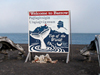 Welcome to Barrow, Alaska, where I?upiat people rely on the annual migration of bowhead whales to coastal waters.