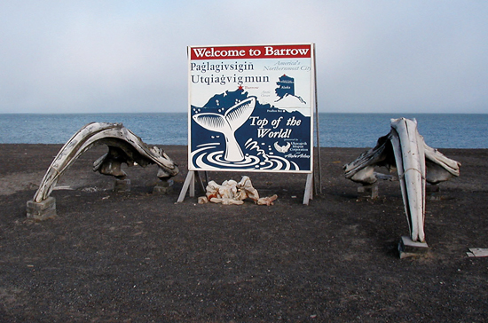 Welcome to Barrow, Alaska, where I?upiat people rely on the annual migration of bowhead whales to coastal waters.