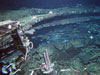A vent site found during an expedition to the Galapagos Rift in June 2005
