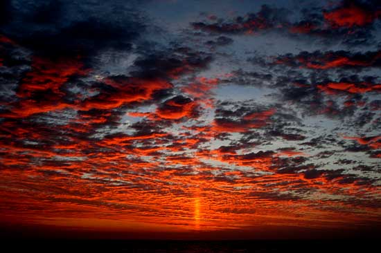 Broda sunset
