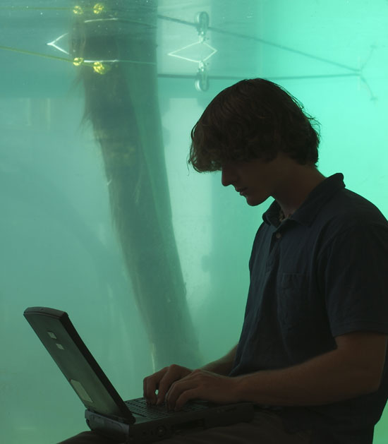summer student fellow