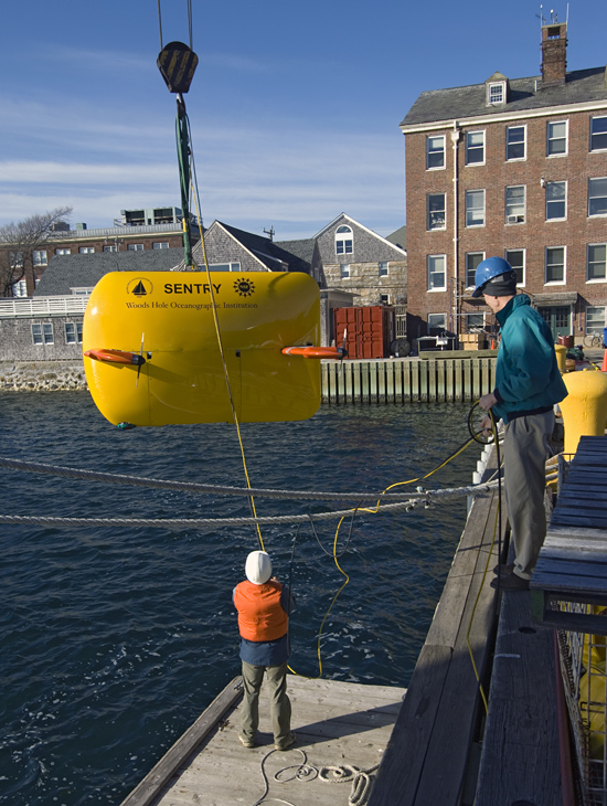 AUV Sentry is lowered into the water for tests.