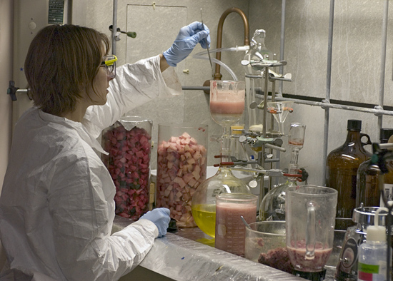 Emma Teuten testing whale blubber