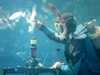 diver down