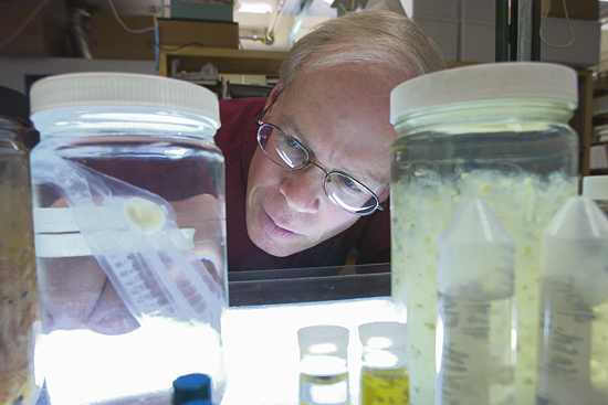 Larry Madin in his lab.